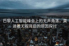 巴黎人工智能峰会上的无声角落，莫迪被无视背后的原因探讨