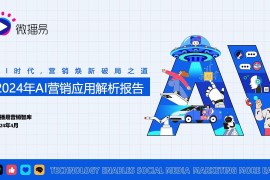 微播易：2024年AI营销应用解析报告-2025最新seo资料