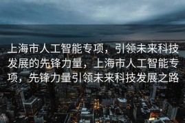 上海市人工智能专项，引领未来科技发展的先锋力量，上海市人工智能专项，先锋力量引领未来科技发展之路
