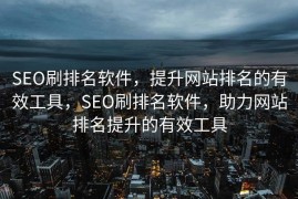 SEO刷排名软件，提升网站排名的有效工具，SEO刷排名软件，助力网站排名提升的有效工具
