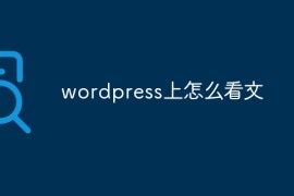 wordpress上怎么看文
