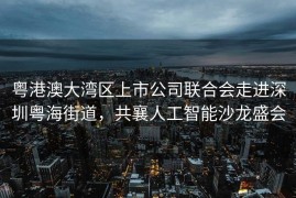 粤港澳大湾区上市公司联合会走进深圳粤海街道，共襄人工智能沙龙盛会