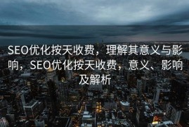 SEO优化按天收费，理解其意义与影响，SEO优化按天收费，意义、影响及解析