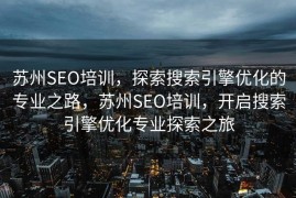 苏州SEO培训，探索搜索引擎优化的专业之路，苏州SEO培训，开启搜索引擎优化专业探索之旅