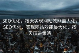SEO优化，按天实现网站效能最大化，SEO优化，实现网站效能最大化，按天精进策略