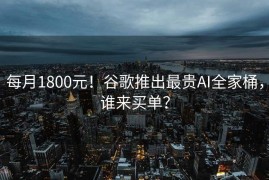 每月1800元！谷歌推出最贵AI全家桶，谁来买单？