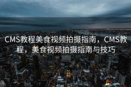 CMS教程美食视频拍摄指南，CMS教程，美食视频拍摄指南与技巧