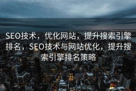 SEO技术，优化网站，提升搜索引擎排名，SEO技术与网站优化，提升搜索引擎排名策略