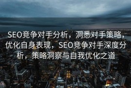 SEO竞争对手分析，洞悉对手策略，优化自身表现，SEO竞争对手深度分析，策略洞察与自我优化之道