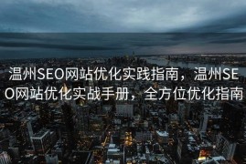 温州SEO网站优化实践指南，温州SEO网站优化实战手册，全方位优化指南