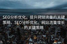 SEO分析优化，提升网站流量的关键策略，SEO分析优化，网站流量增长的关键策略