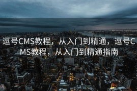 逗号CMS教程，从入门到精通，逗号CMS教程，从入门到精通指南