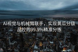 AI视觉与机械臂联手，实现黄瓜分级品控的99.9%精准分拣