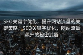 SEO关键字优化，提升网站流量的关键策略，SEO关键字优化，网站流量飙升的秘密武器
