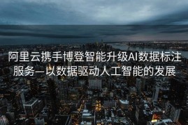 阿里云携手博登智能升级AI数据标注服务—以数据驱动人工智能的发展