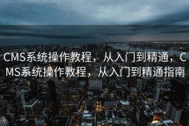 CMS系统操作教程，从入门到精通，CMS系统操作教程，从入门到精通指南
