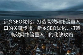 新乡SEO优化，打造高效网络流量入口的关键步骤，新乡SEO优化，打造高效网络流量入口的秘诀攻略