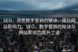 SEO，洞悉数字营销的秘诀，提升网站影响力，SEO，数字营销的秘诀与网站影响力提升之道