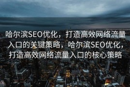 哈尔滨SEO优化，打造高效网络流量入口的关键策略，哈尔滨SEO优化，打造高效网络流量入口的核心策略