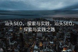 汕头SEO，探索与实践，汕头SEO，探索与实践之路