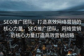 SEO推广团队，打造高效网络营销的核心力量，SEO推广团队，网络营销的核心力量打造高效营销战略