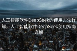 人工智能软件DeepSeek的使用方法详解，人工智能软件DeepSeek使用指南详解
