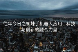 往年今日之蜘蛛手机器人应用—科技与创新的融合力量