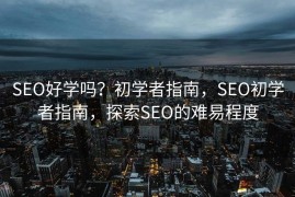 SEO好学吗？初学者指南，SEO初学者指南，探索SEO的难易程度