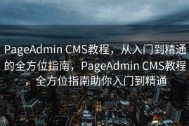 PageAdmin CMS教程，从入门到精通的全方位指南，PageAdmin CMS教程，全方位指南助你入门到精通