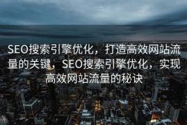 SEO搜索引擎优化，打造高效网站流量的关键，SEO搜索引擎优化，实现高效网站流量的秘诀