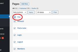 重置 WordPress 网站的指南