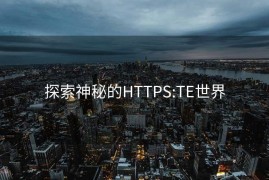 探索神秘的HTTPS:TE世界