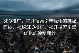 SEO推广，揭开搜索引擎优化的神秘面纱，揭秘SEO推广，揭开搜索引擎优化的神秘面纱