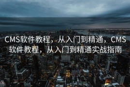 CMS软件教程，从入门到精通，CMS软件教程，从入门到精通实战指南