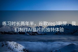练习时长两年半，谷歌Veo3刷屏，我们制作AI猫片的独特体验