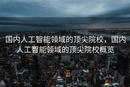 国内人工智能领域的顶尖院校，国内人工智能领域的顶尖院校概览