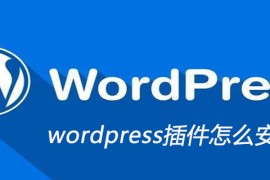 wordpress的插件怎么安装