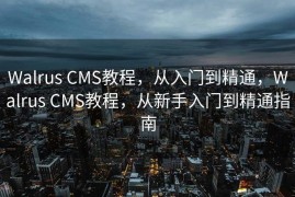 Walrus CMS教程，从入门到精通，Walrus CMS教程，从新手入门到精通指南