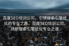 百度SEO培训公司，引领搜索引擎优化的专业之路，百度SEO培训公司，领航搜索引擎优化专业之道