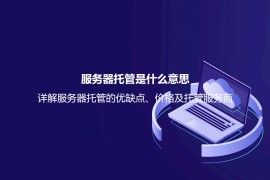 服务器托管是什么意思？详解服务器托管的优缺点、价格及托管服务商