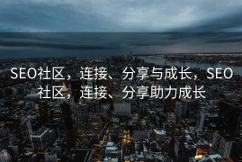 SEO社区，连接、分享与成长，SEO社区，连接、分享助力成长