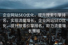 企业网站SEO优化，提升搜索引擎排名，实现流量增长，企业网站SEO优化，提升搜索引擎排名，助力流量增长策略