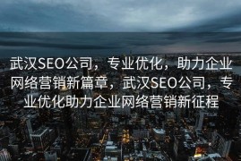 武汉SEO公司，专业优化，助力企业网络营销新篇章，武汉SEO公司，专业优化助力企业网络营销新征程