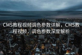 CMS教程视频调色参数详解，CMS教程视频，调色参数深度解析
