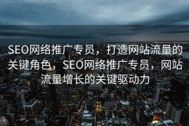 SEO网络推广专员，打造网站流量的关键角色，SEO网络推广专员，网站流量增长的关键驱动力