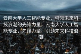云南大学人工智能专业，引领未来科技浪潮的先锋力量，云南大学人工智能专业，先锋力量，引领未来科技浪潮