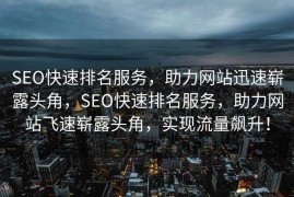SEO快速排名服务，助力网站迅速崭露头角，SEO快速排名服务，助力网站飞速崭露头角，实现流量飙升！