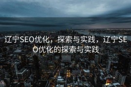 辽宁SEO优化，探索与实践，辽宁SEO优化的探索与实践