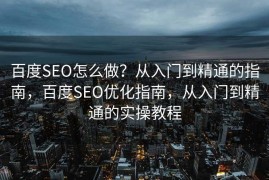 百度SEO怎么做？从入门到精通的指南，百度SEO优化指南，从入门到精通的实操教程
