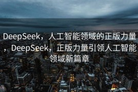 DeepSeek，人工智能领域的正版力量，DeepSeek，正版力量引领人工智能领域新篇章